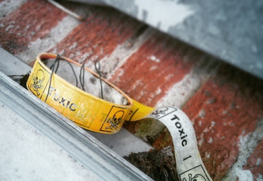 49110afb06ae66cadfadaeb428586fea