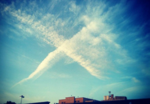 775aced1acea81a5f8d98139860073ee