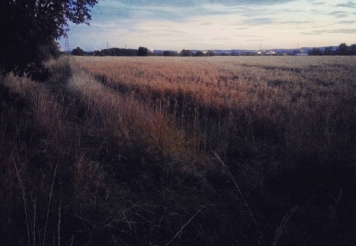 635c4151042a09ae576d4e1968dff8ad