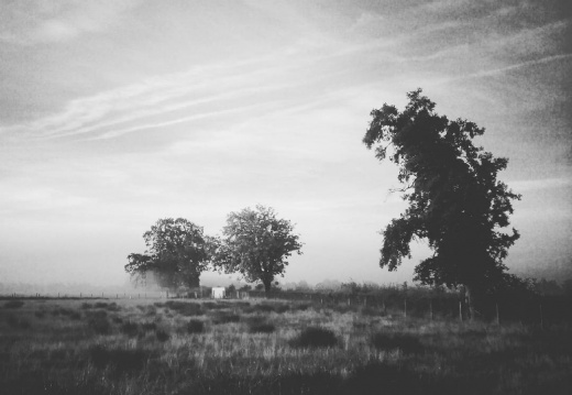 69ef3f656025ed386083d0031058e4df