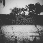 4f7cce8bd02d0e6758a8bd683b7eef41