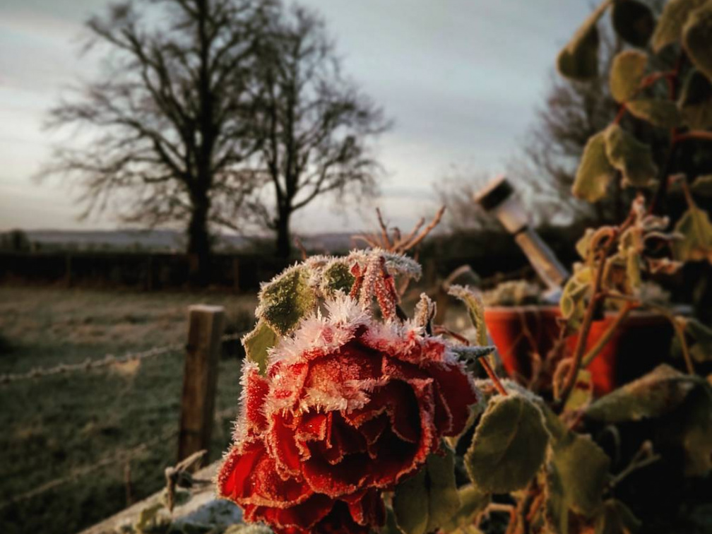 88c149a82e4e64dc1179feff3cf2d526