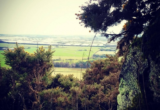 ec24f18aa4d21dbf8a932ede6485975d