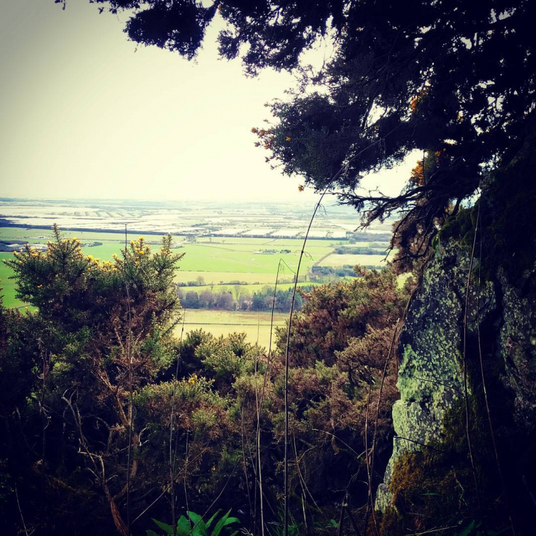 ec24f18aa4d21dbf8a932ede6485975d