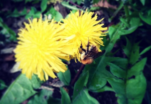 9eeb02396dbb71b0d77c42ff69fbe9db