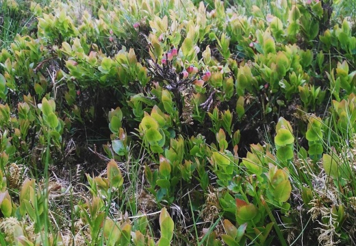 49446f4c62df9aa384970621d8ffb9d6