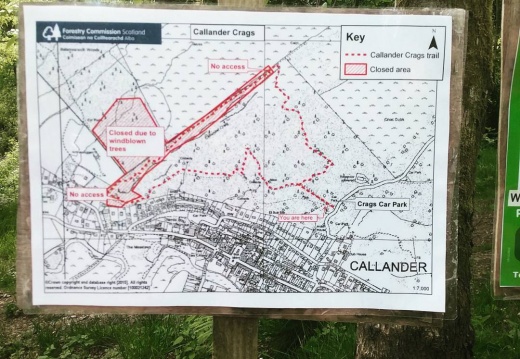 4e310bb1ebbb352b577e8afb5115ce7a