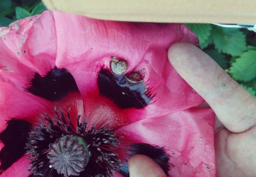 20bad859ae5cff976828cf49bd1bc1d9