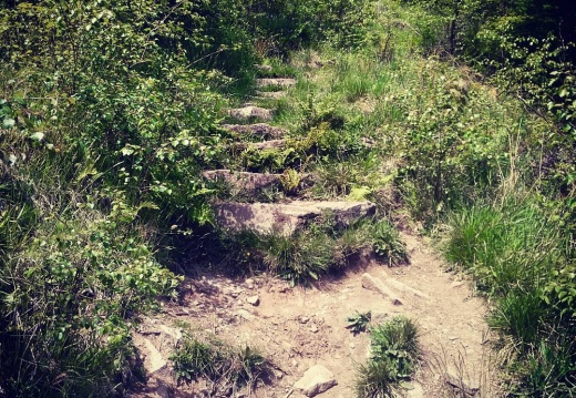 78f9e6b106b2e0afac60e14320139a78