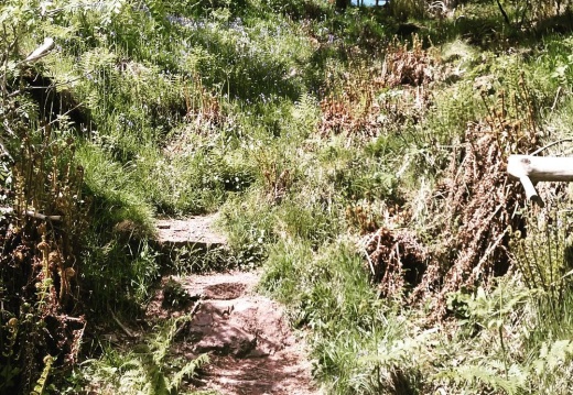 85ec07c46caa42b9a8b2bf68fabb793d