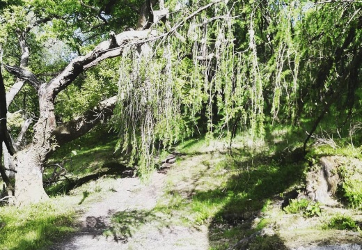 943a3c316e2b4f969c518cb2ae40edd2