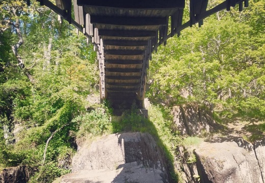 84766cb28d67f2ad6d792bb26dc9c051