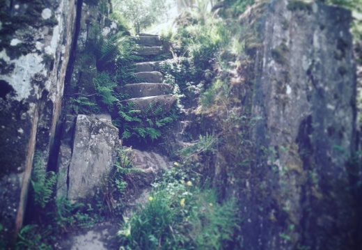 438298634bdf43556ae24824f4b92caa