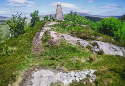 bf0dba80bf828fe88404e2c5d2d36fd1