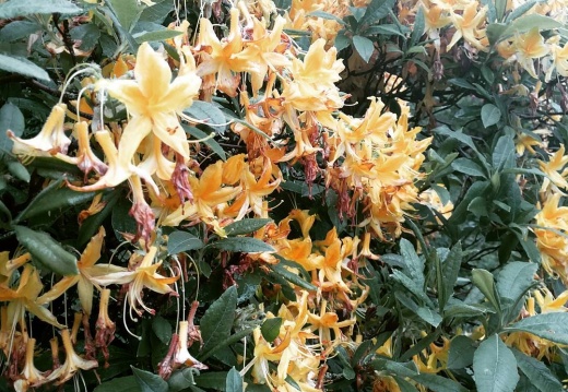 f8274b1ed0b3a6da4233d749f6e271b4