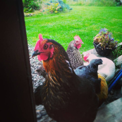 58f75000f38aca0905cf895c9b9ef403