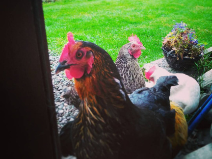 58f75000f38aca0905cf895c9b9ef403