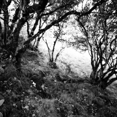 8920c917d7c1711d3a416c8b901cd9cc