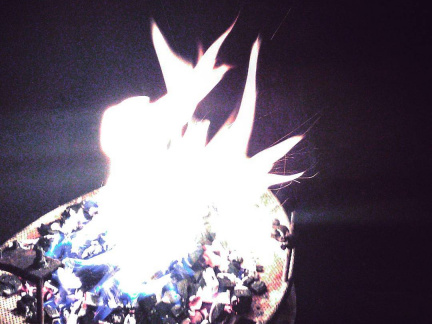 ecfe6db612da2ccfb62e9bd894158de5