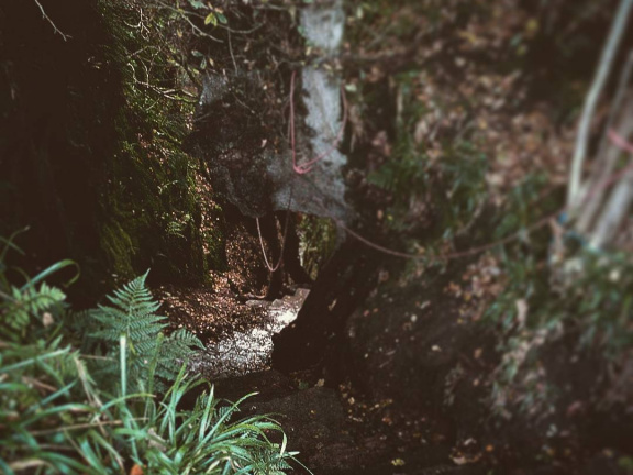 65d7313f98c3b516390871ecac723b35