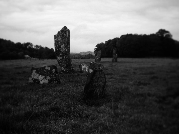 67516d7e9a93416cc3caba0632c76049