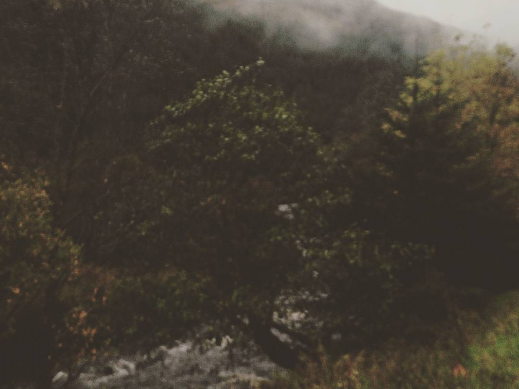 be8db5617700ef3e82ec50cfa7882172