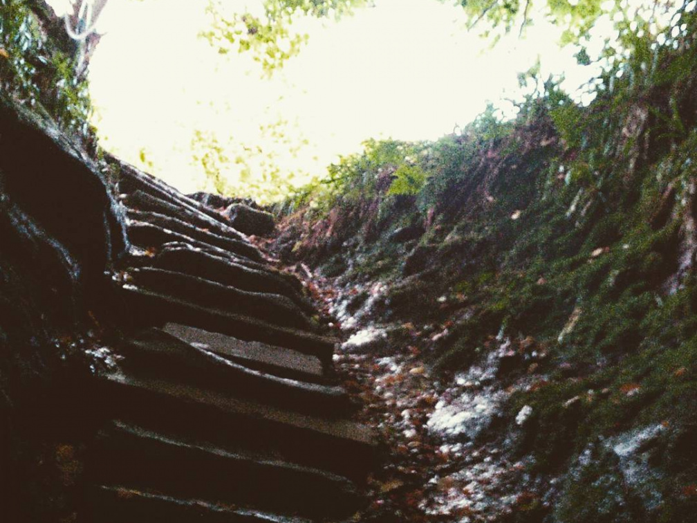 ca48abdd621b4ae35722394f87522763