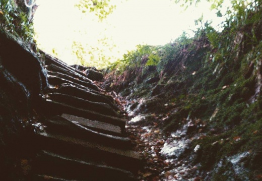 ca48abdd621b4ae35722394f87522763