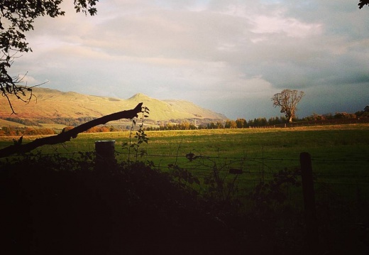 0f7e9ade1c5f8acab72317efc61cd571