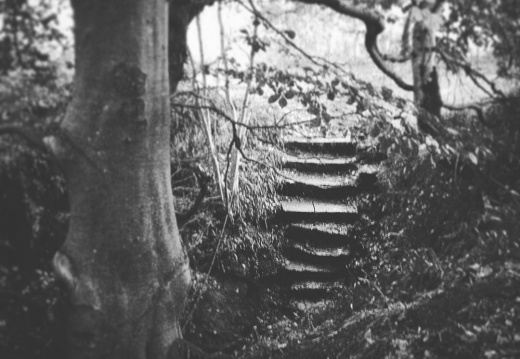 6c4775134157d5be4817bc5d4705a467