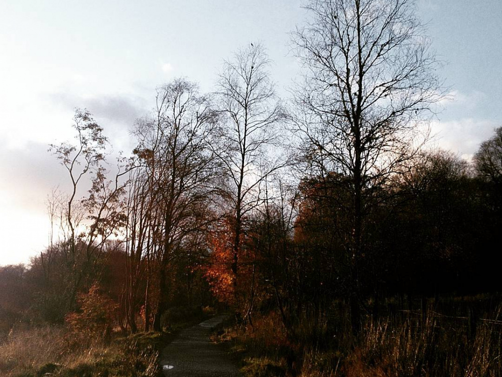 541e35d42da25c745fb2548659a1593b