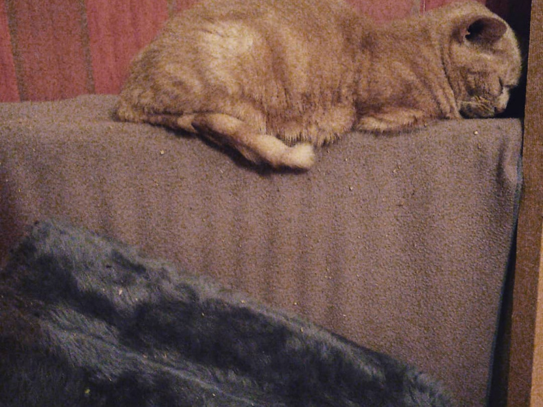 cd14c8744fa748afd6d0a752fc283251