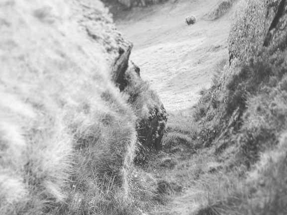 13612008d178673e48db4cc7dd892474