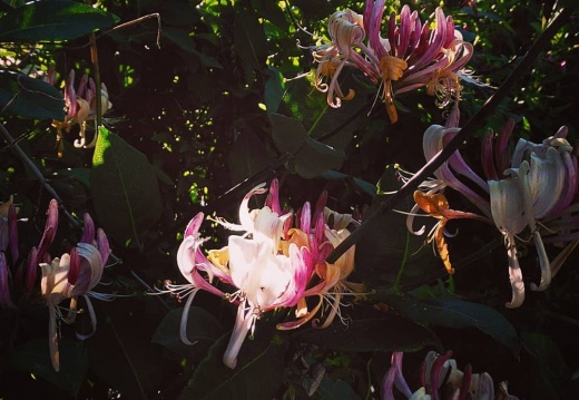 e967fdee9a0ccec57e2c140d3add466f