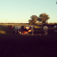 61ba614c5dbfaf280404b6df8a6e505f