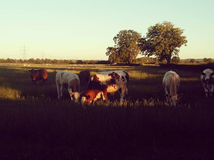 61ba614c5dbfaf280404b6df8a6e505f