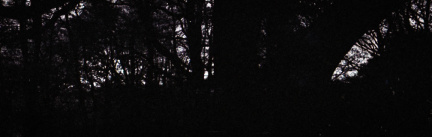 zorki4k tri-x004