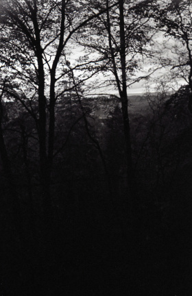 zorki4k tri-x005