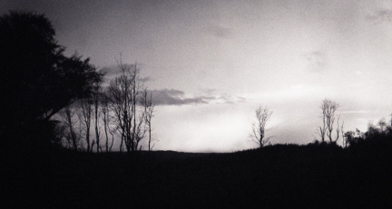 zorki4k tri-x006