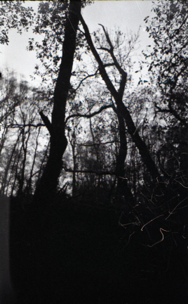 zorki4k tri-x024