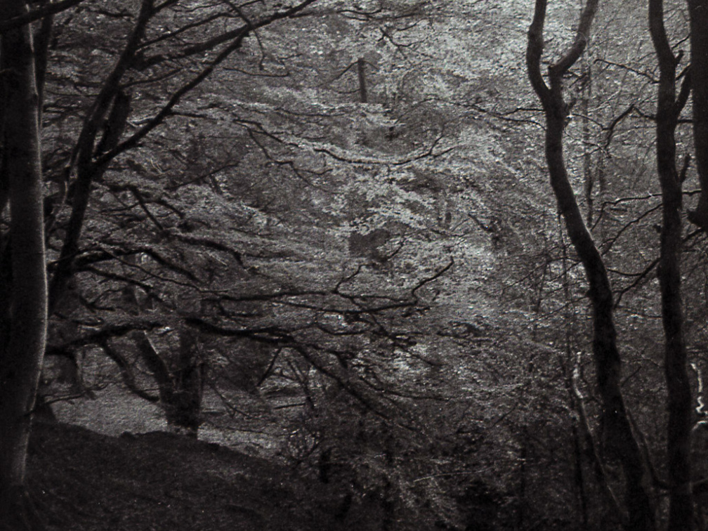 halina paulette tri-x007