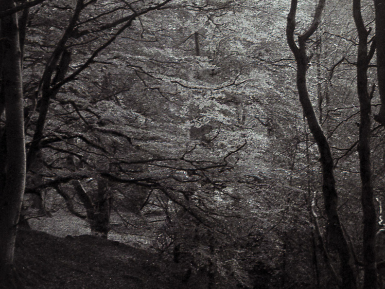 halina paulette tri-x007