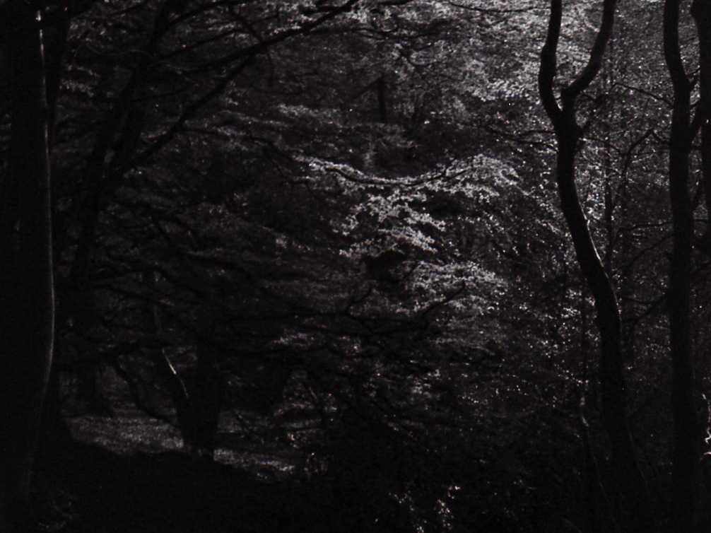 halina paulette tri-x009