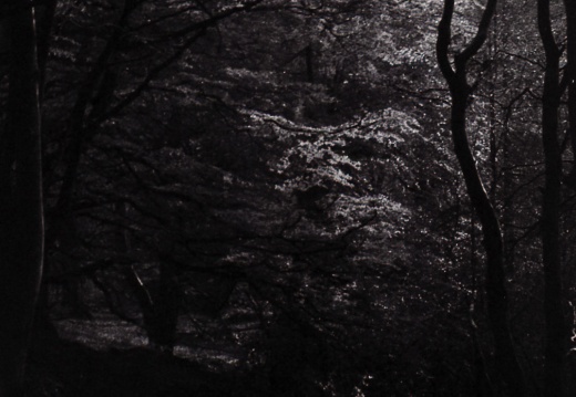 halina paulette tri-x009