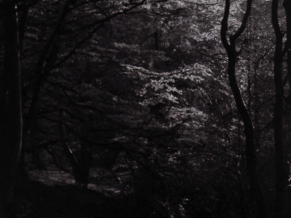 halina paulette tri-x009