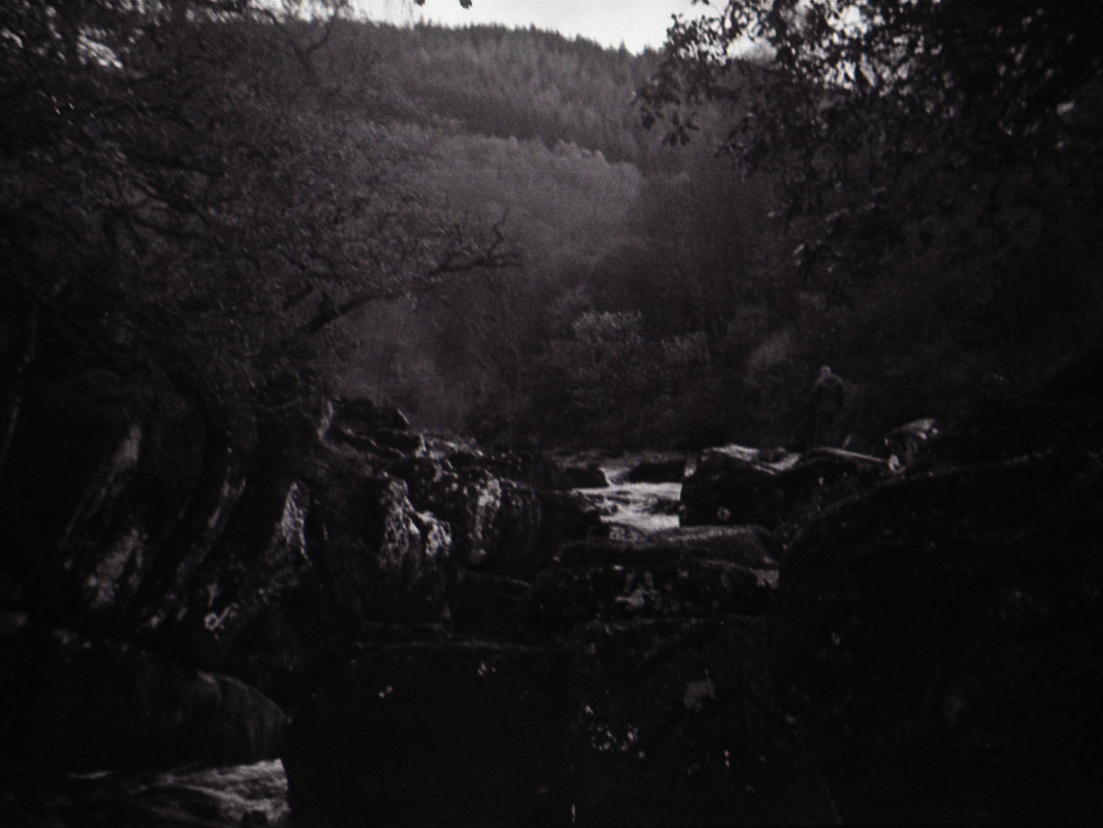 halina paulette tri-x005