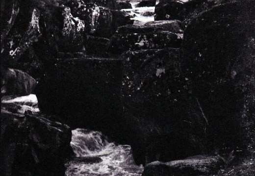 halina paulette tri-x006