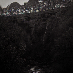 halina paulette tri-x013