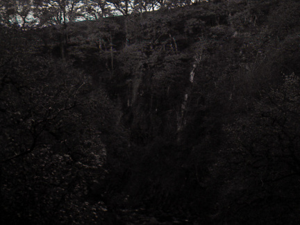 halina paulette tri-x013