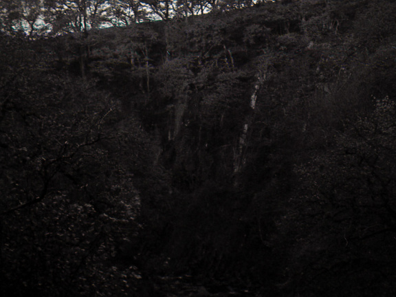 halina paulette tri-x013